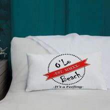 Load image into Gallery viewer, Premium Pillow