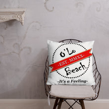 Load image into Gallery viewer, Premium Pillow