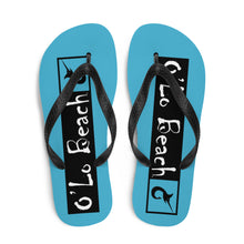 Load image into Gallery viewer, Summer Sky Marlin Flip-Flops