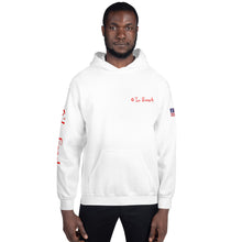 Load image into Gallery viewer, Hoodie O'Lo Merica